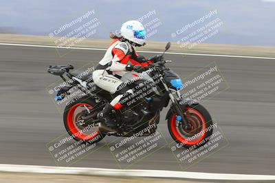 media/Jan-15-2023-SoCal Trackdays (Sun) [[c1237a034a]]/Bowl (1125am)/